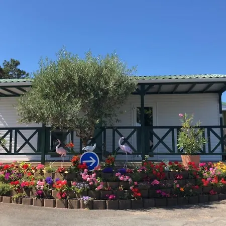 Campsite Camping Les Tulipes La Faute-sur-Mer
